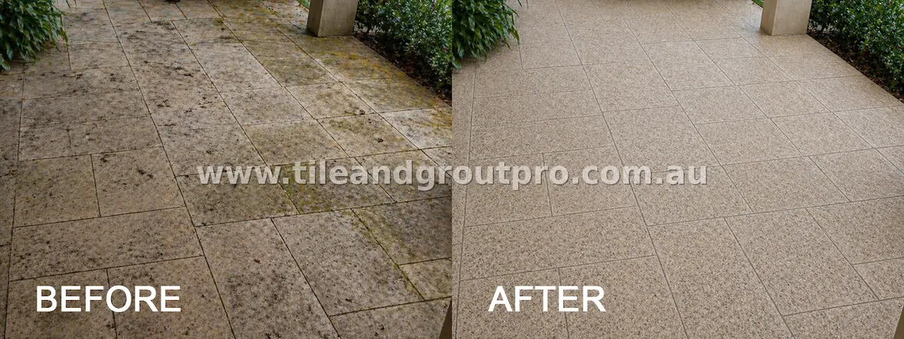 Natural stone outdoor patio tiles with visible moss, algae growth, and dirt buildup near garden plants before tile and grout cleaning