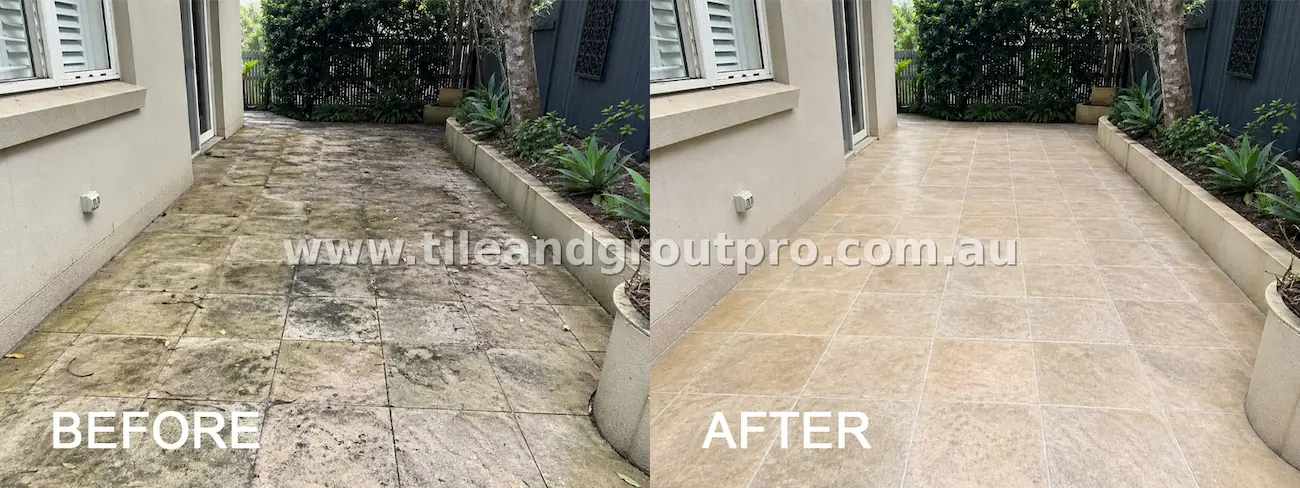 Natural stone side path tiles with mould, mildew stains, and heavy discoloration in a shaded outdoor area before tile and grout cleaning