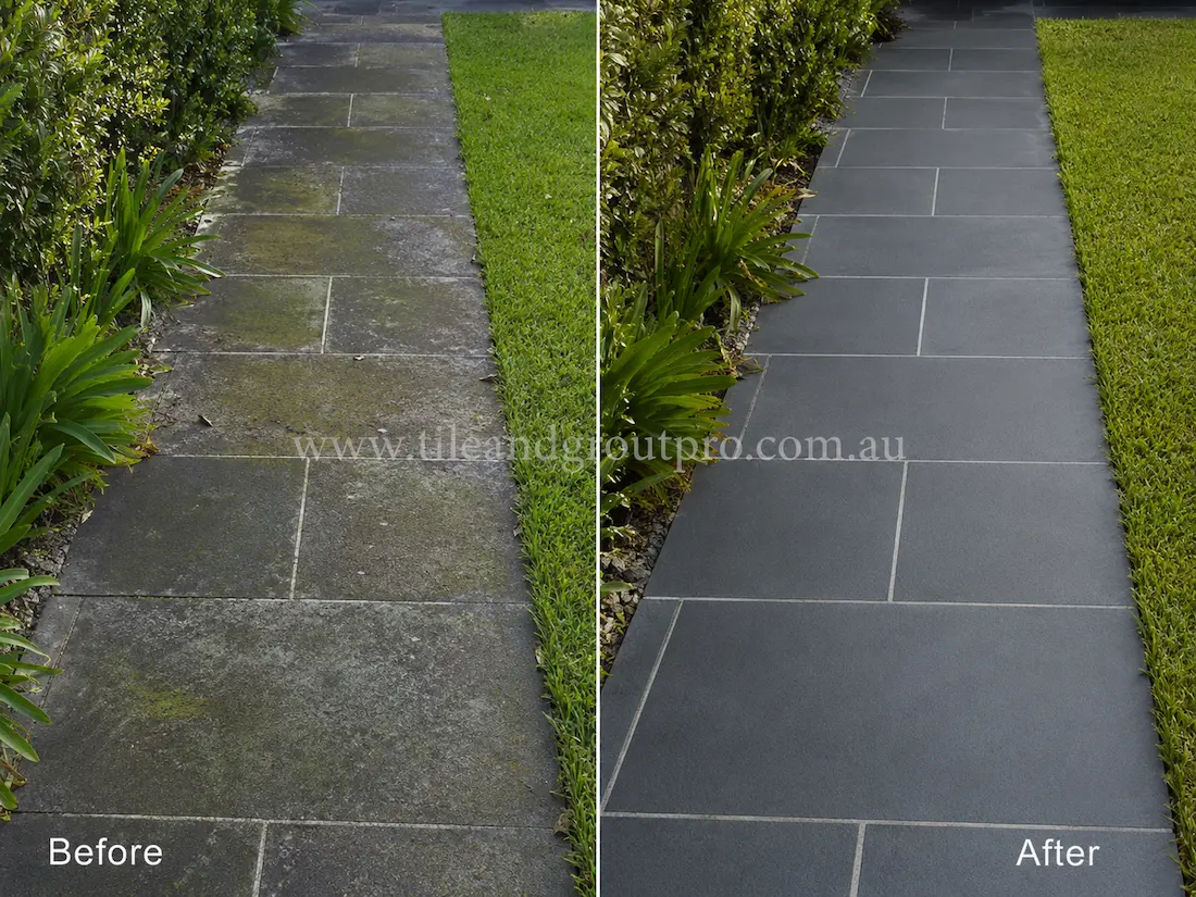 Before tile renewal, outdoor bluestone garden path tiles in a residential landscape walkway had moss growth, weather staining, and faded stone surfaces throughout the narrow pathway.