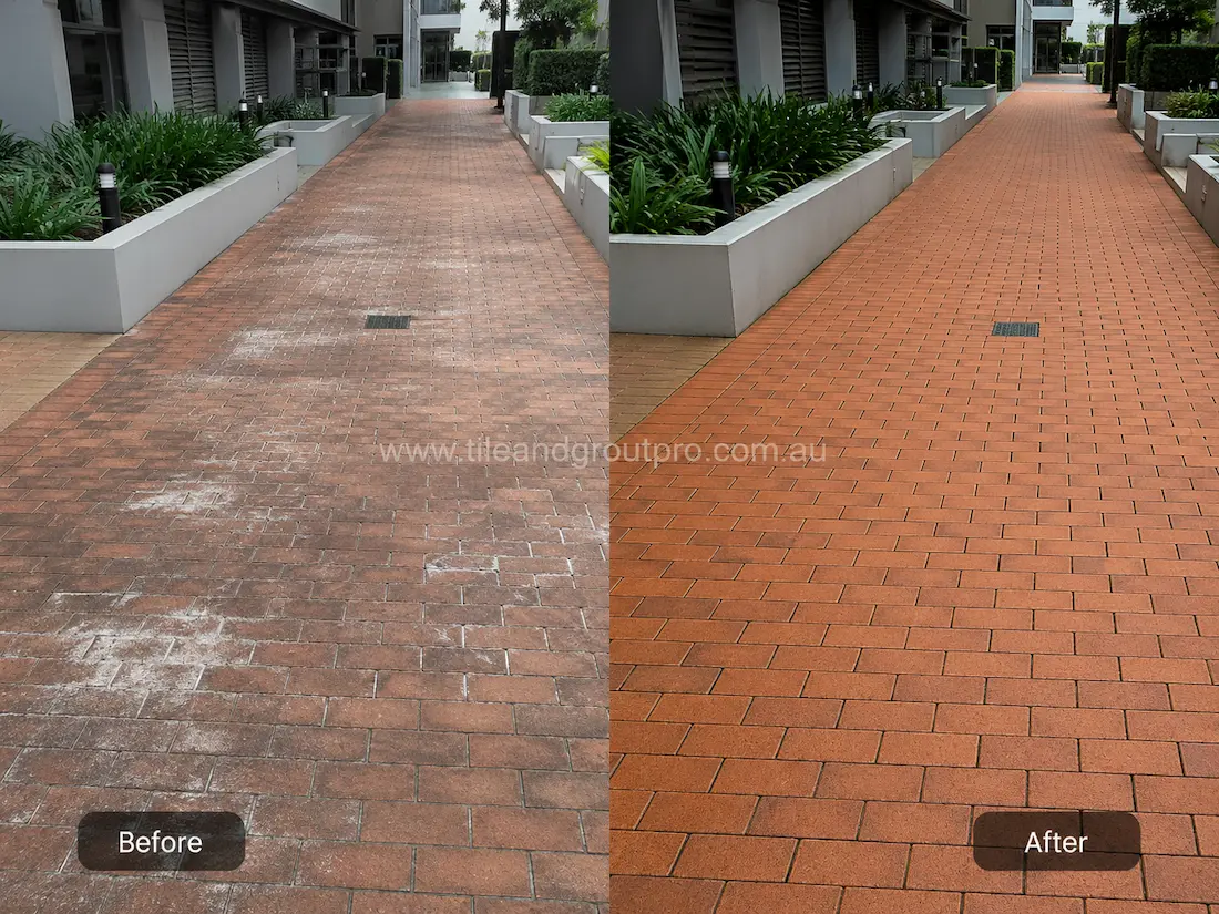 Commercial outdoor walkway with red brick pavers before sealer stripping, showing white sealer residue, faded colouring, and uneven surface finish between landscaped garden beds.