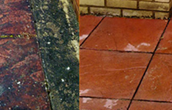 Mould & Algae Treatment in 