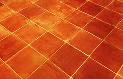 Vinyl Stripping and sealing in 